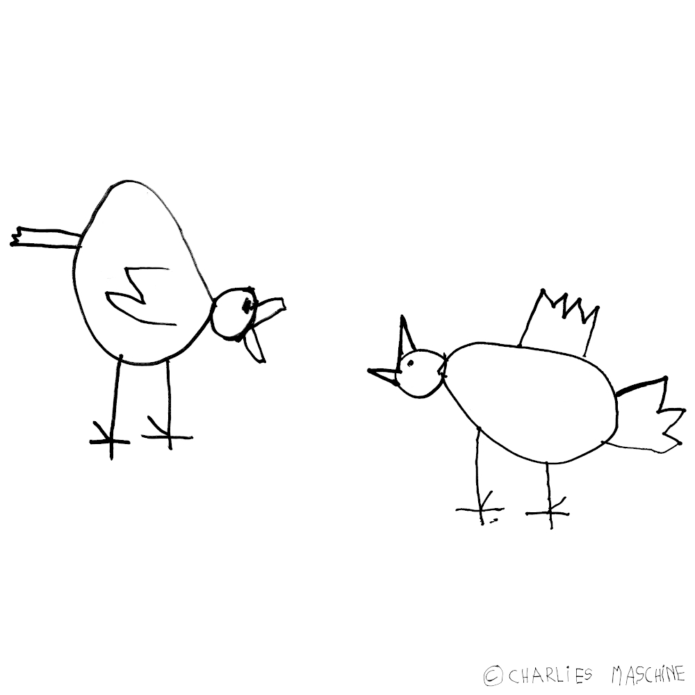2 birds – magic marker drawing; Charlie age 5