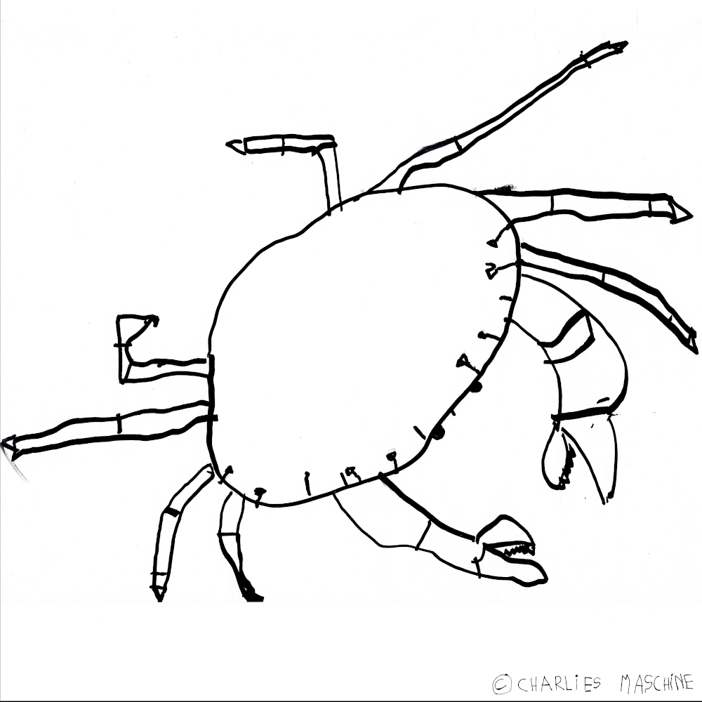 crab – magic marker drawing; Charlie age 5½