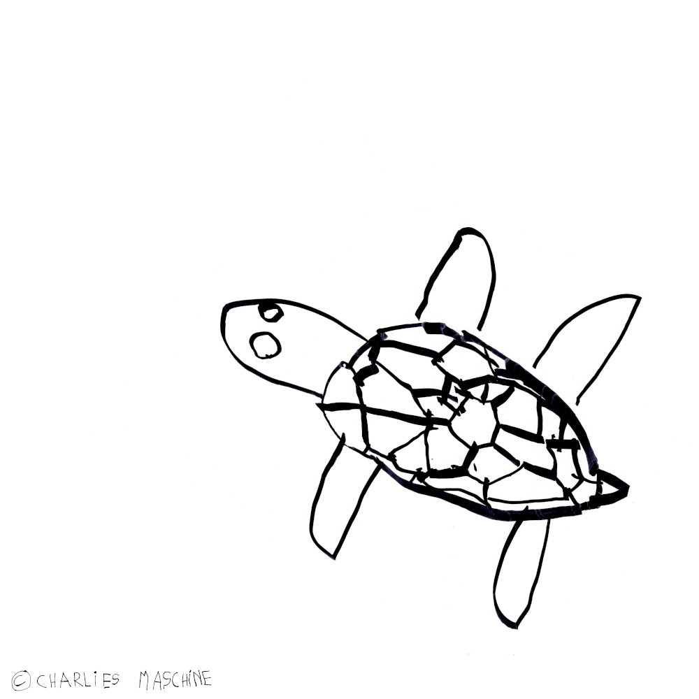 turtle – magic marker drawing; Charlie age 5½